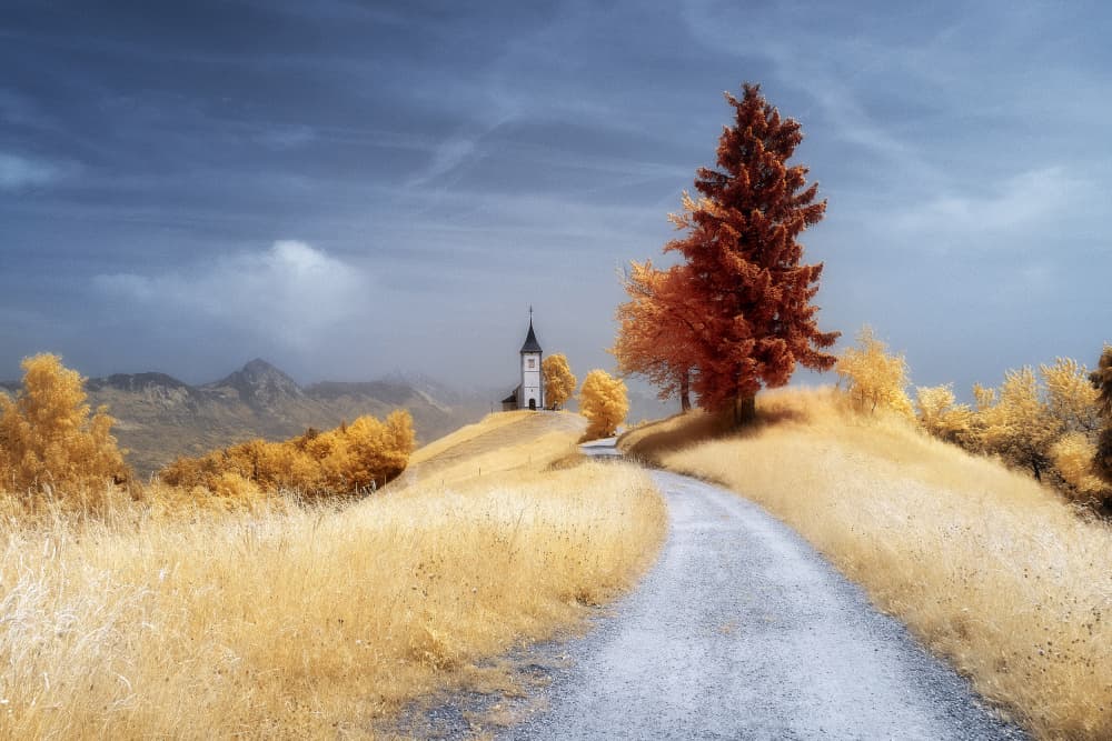 Golden Autumn Church Road by Filippo Manini — canvas wall art