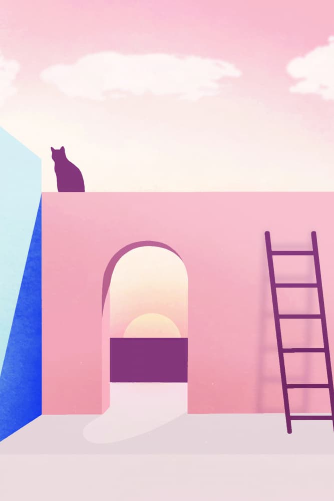 Cat On Pink Rooftop by jay stanley — canvas wall art