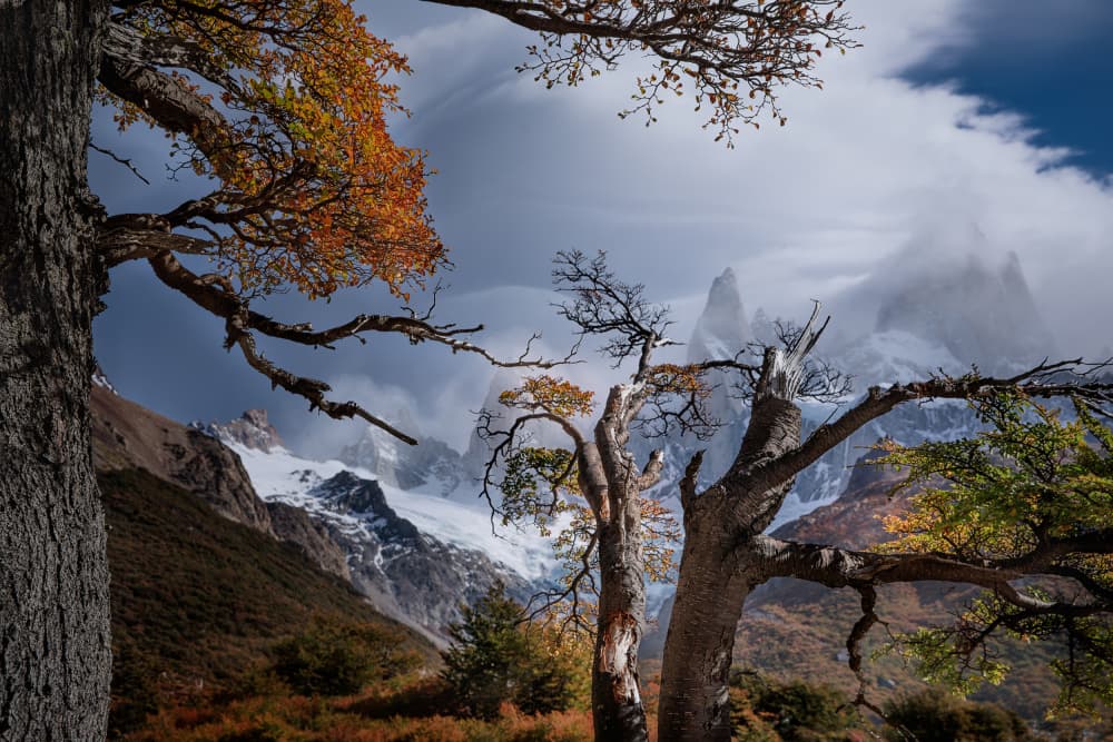 Dramatic Patagonia Peaks by YANGYING — canvas wall art