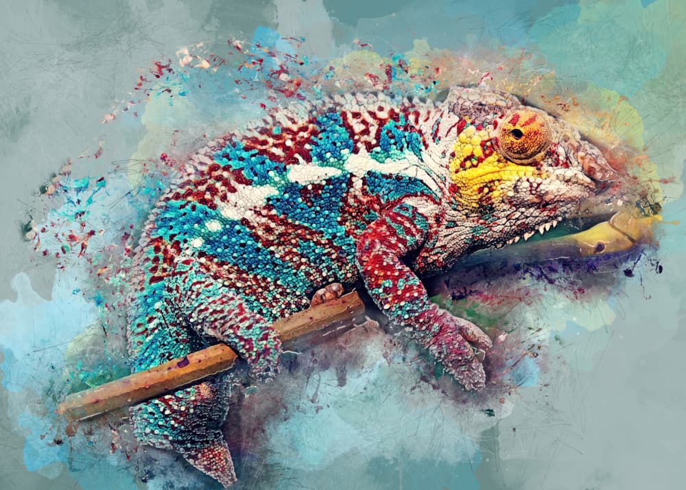 Vibrant Chameleon Art by Justyna Jaszke — canvas wall art