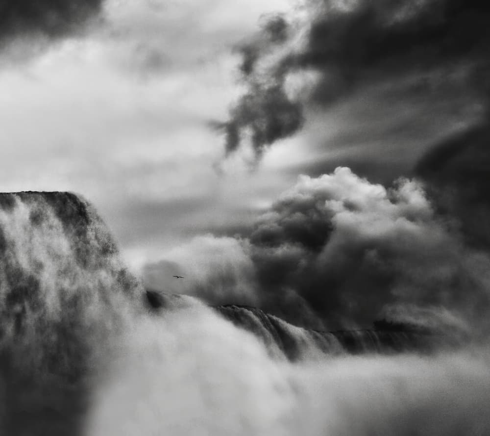 Powerful Falls Bird by Yvette Depaepe — canvas wall art