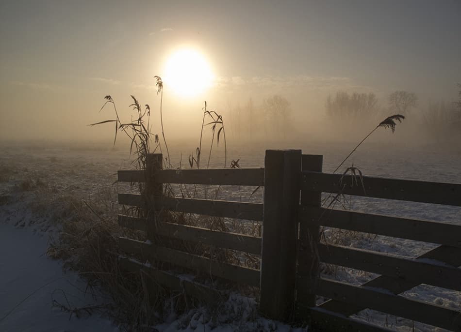 Misty Winter Morning by Alida van Zaane — canvas wall art