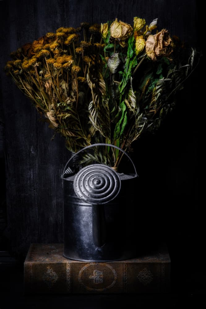 Moody Floral Still Life by Enrico Sottocorna — canvas wall art