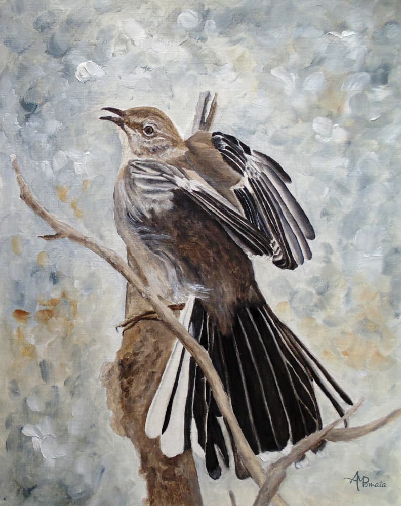 Mockingbird Spreading Wings by Angeles M. Pomata — canvas wall art