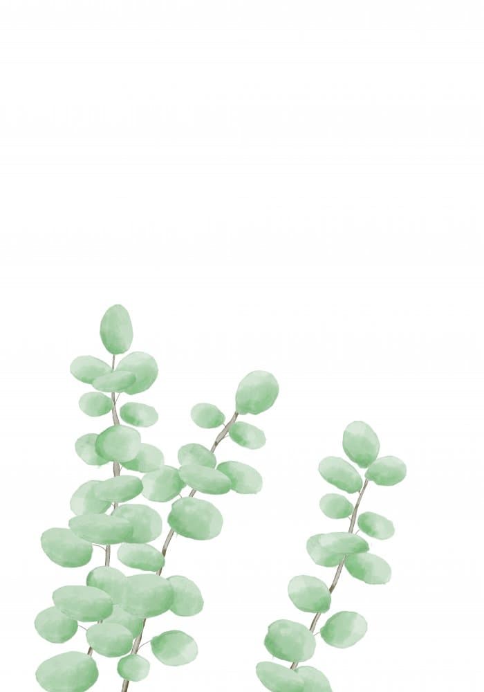 Fresh Eucalyptus Sprigs by Pictufy Studio II — canvas wall art