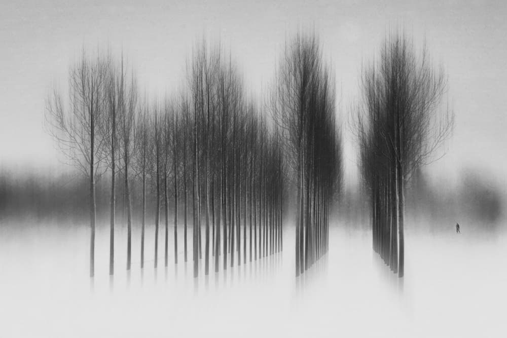 Lone Figure Misty Trees by Roswitha Schleicher-Schwarz — canvas wall art