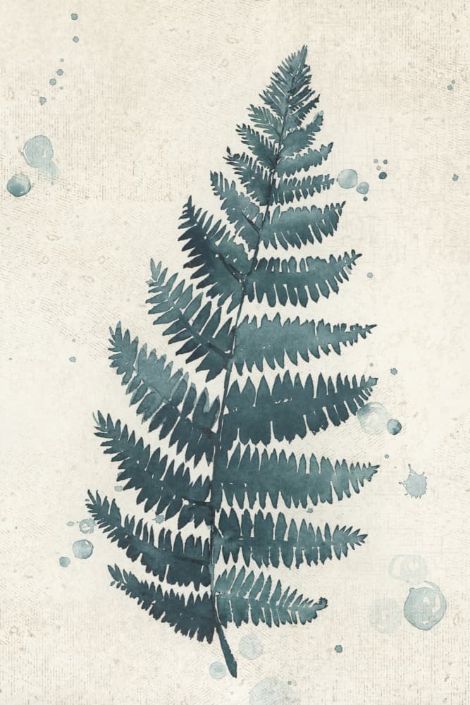 Serene Watercolor Fern by Rosana Laiz Blursbyai — canvas wall art