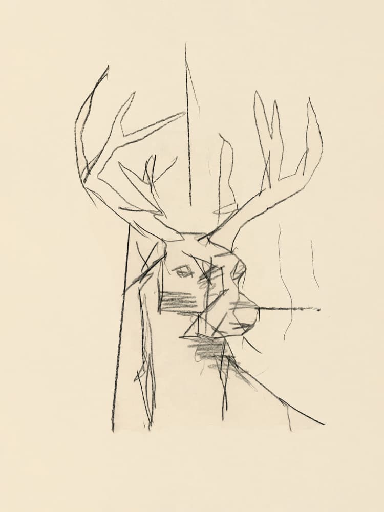 Abstract Deer Sketch by cartissi — canvas wall art