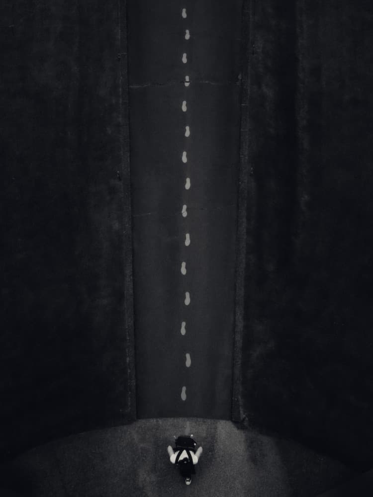 Footprints To Follow by Ryoga Otake — canvas wall art