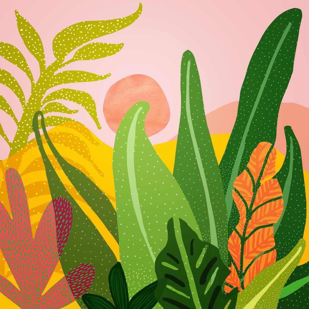 Jungle Evening by Kristian Gallagher — canvas wall art