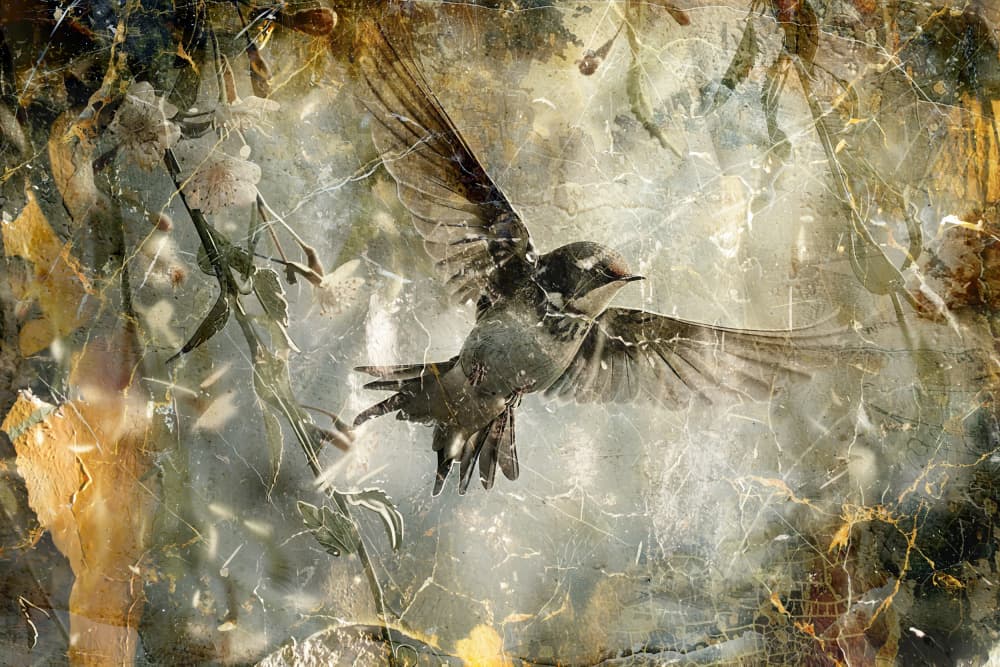Ethereal Bird Flight by Rafal Kulik — canvas wall art