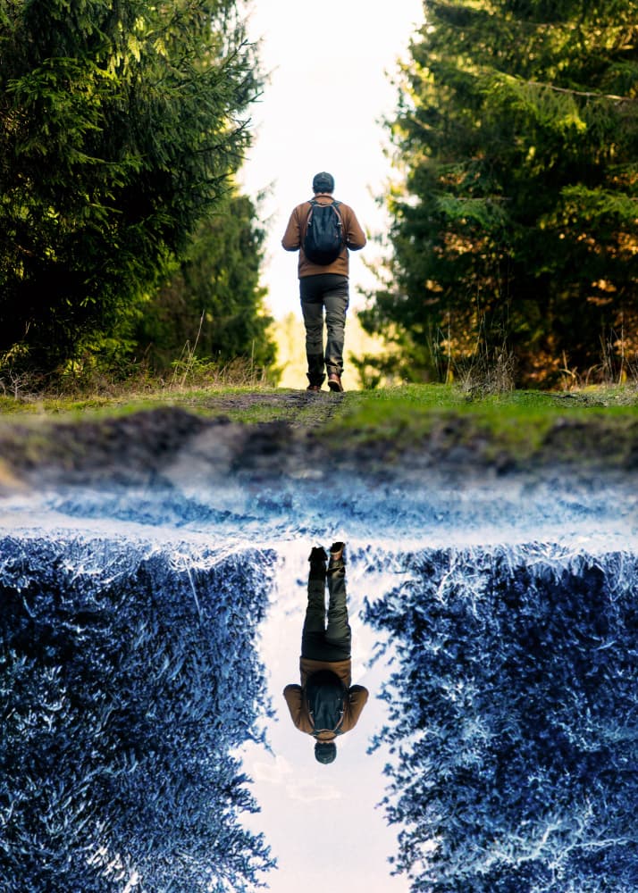Reflected Forest Journey by Ariz Rab — canvas wall art