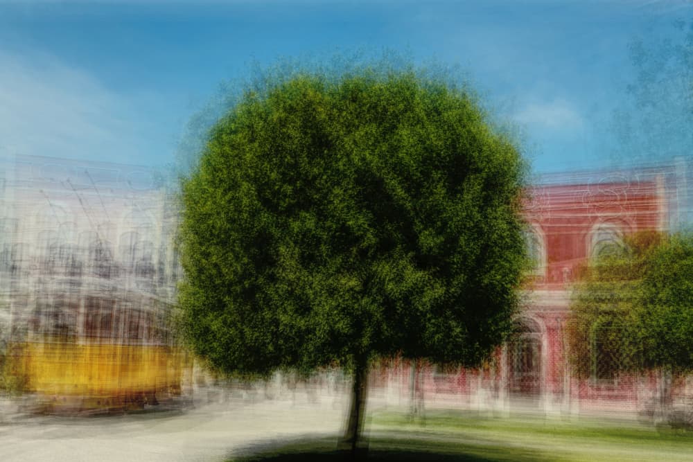 Dreamy City Park by Gregor Szalay — canvas wall art