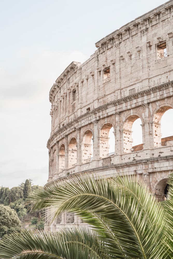 Colosseum Palm View by Henrike Schenk — canvas wall art