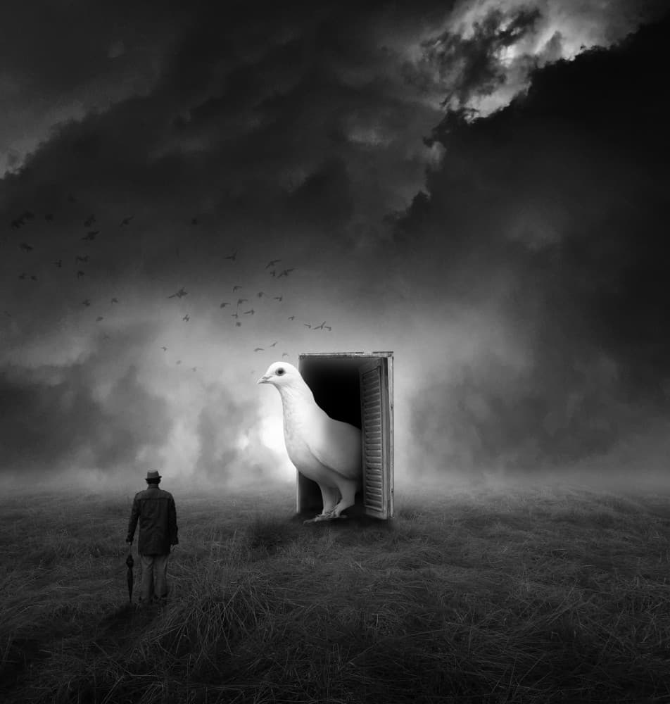 Mysterious Dove Door by Hari Sulistiawan — canvas wall art
