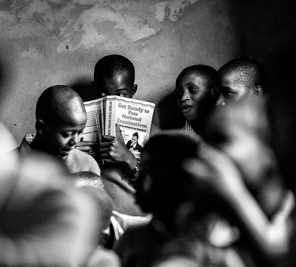 Focused Study Group by Vedran Vidak — canvas wall art