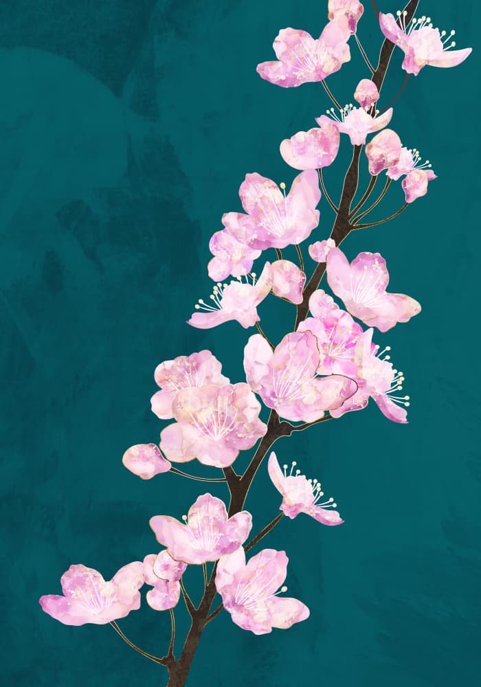 Pink Cherry Blossoms by Sarah Manovski — canvas wall art