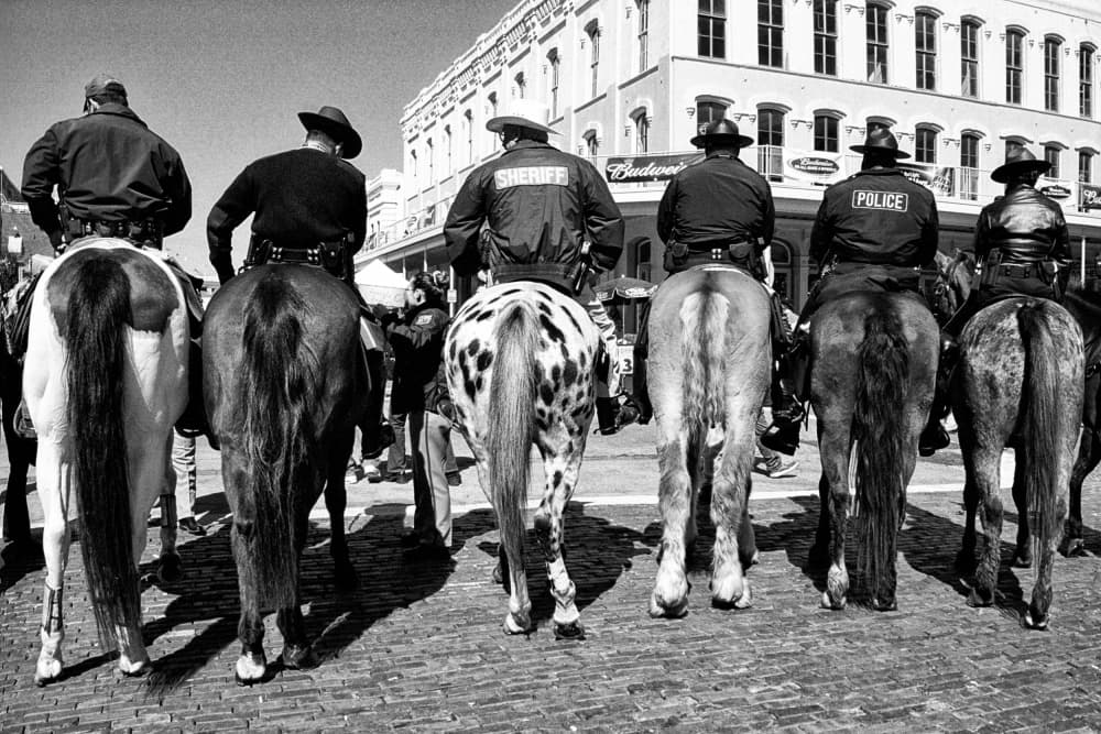 Mounted Officers City Street by Michael Burlak — canvas wall art