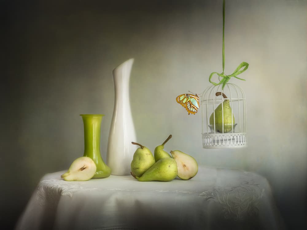 Green Pears Butterfly by Cristiano Giani — canvas wall art