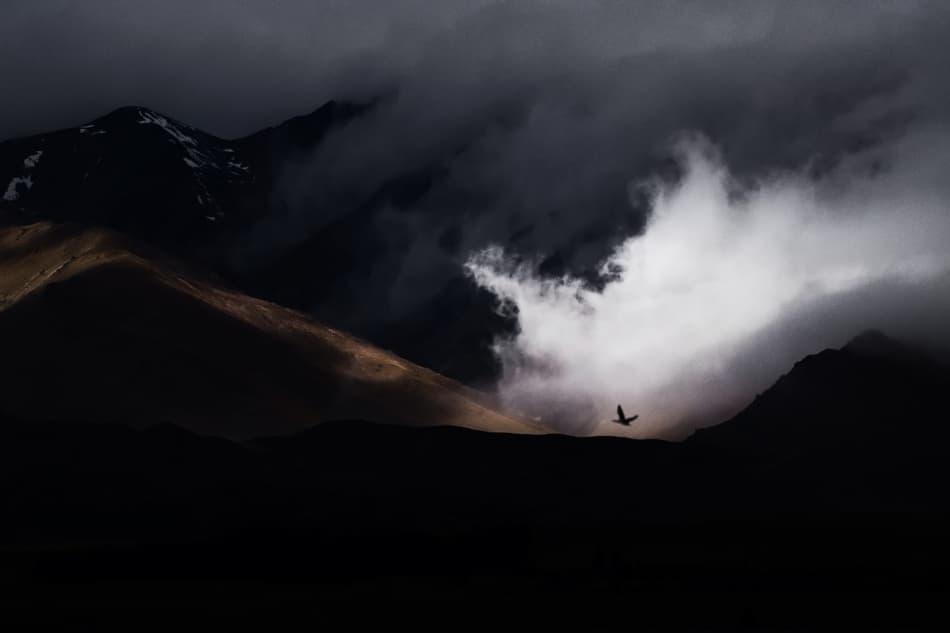 Golden Light Mountain Bird by ArtFiction (Andre Gehrmann) — canvas wall art