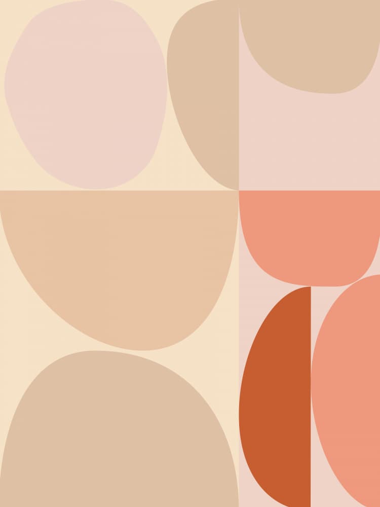 Mid Century Pastel 16 by Ana Rut Bre — canvas wall art