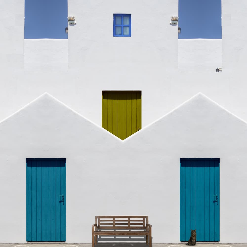 Colorful Facade Cat by Orestis — canvas wall art