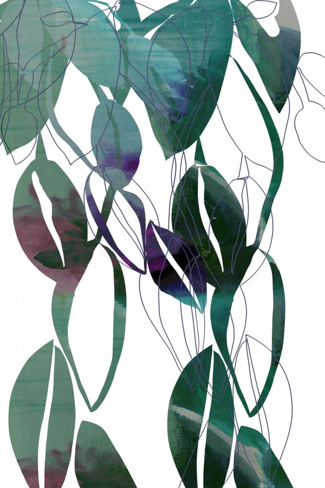 Abstract Botanical Forms by cartissi — canvas wall art
