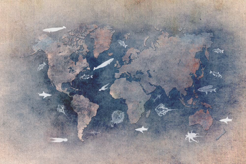 Vintage Ocean Life Map by Justyna Jaszke — canvas wall art