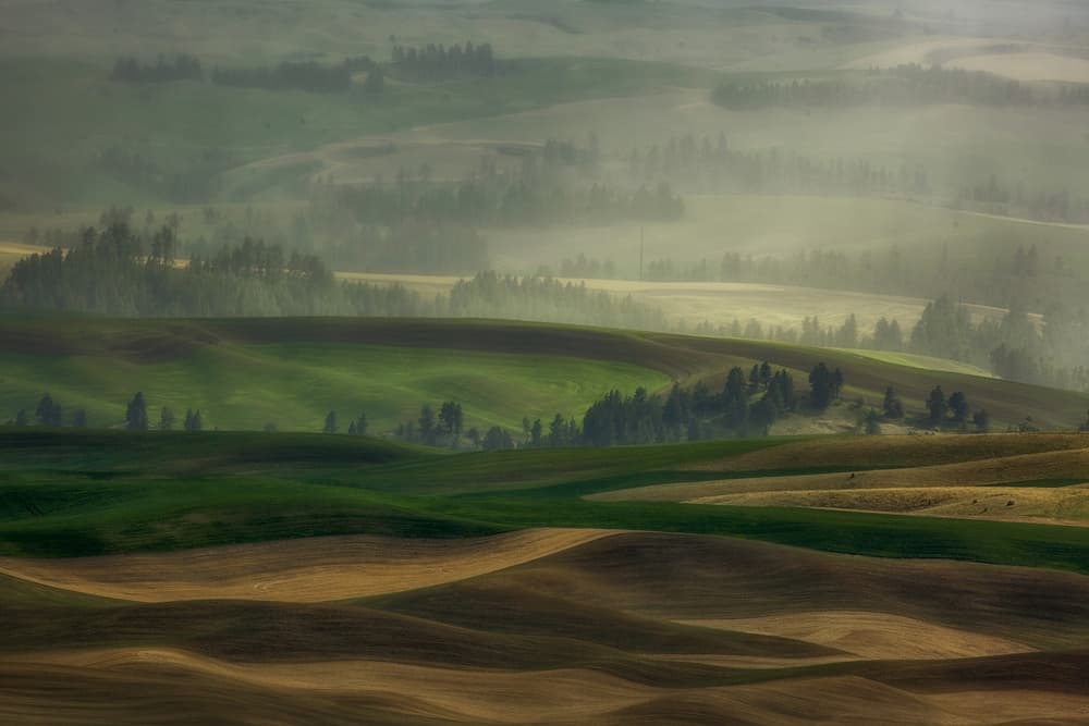 Misty Rolling Hills by Leechee Z — canvas wall art