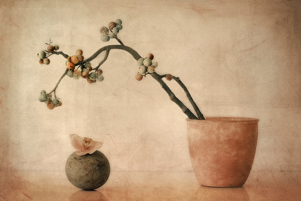 Earthy Berries and Orchid by Elena Arjona — canvas wall art