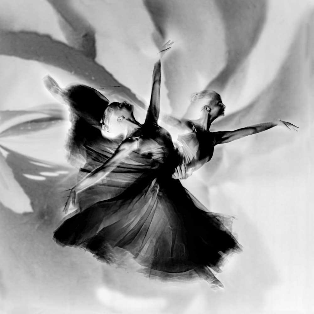Elegant Dance Movement by Rachel Pansky — canvas wall art