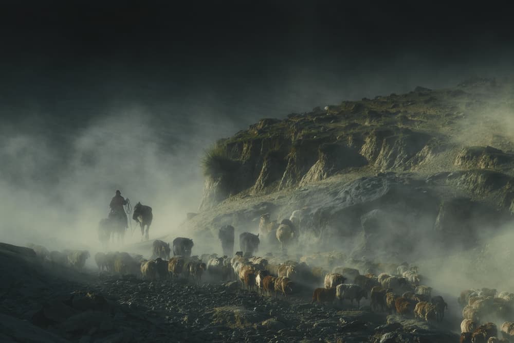 Nomadic Shepherd Journey by Bingo Z — canvas wall art