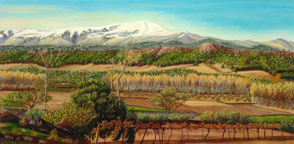 Rural Mountain Vineyard by Angeles M. Pomata — canvas wall art