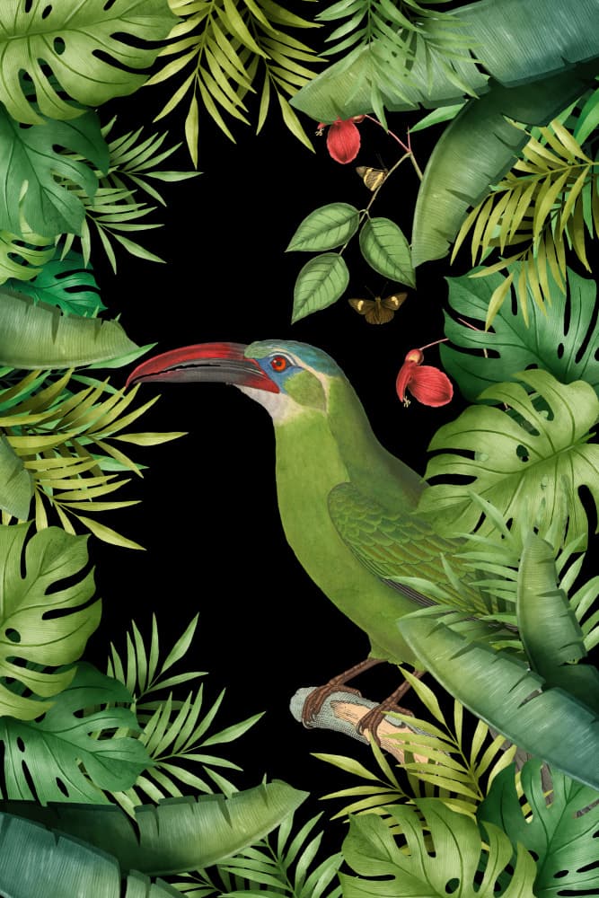 Green Toucan Jungle Canopy by Andrea Haase — canvas wall art