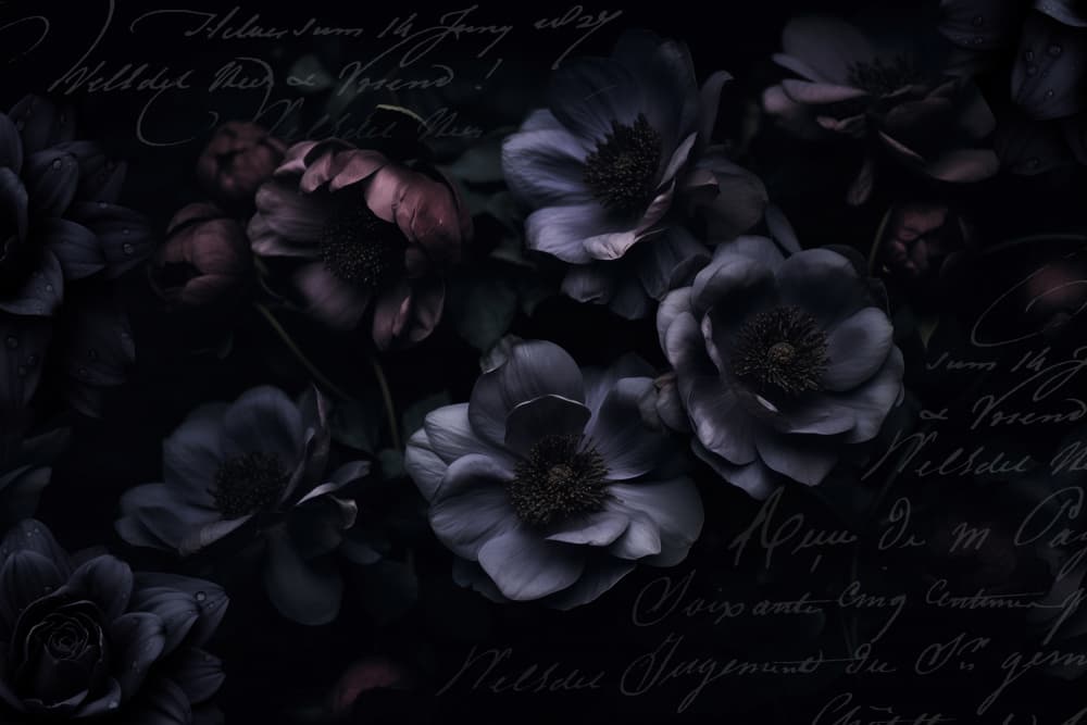 Dark Floral Script by Andrea Haase — canvas wall art
