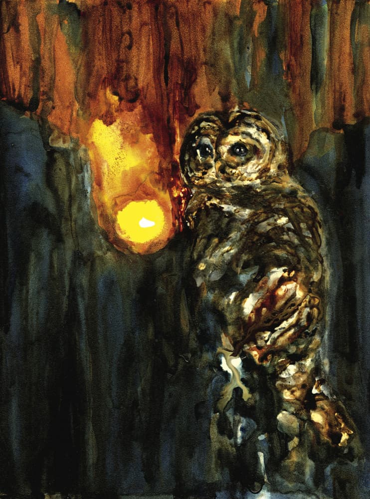 Mystical Owl Light by RodMacIver — canvas wall art