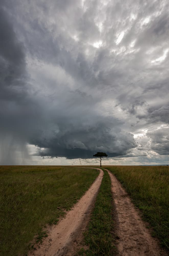 Road to the Storm by Isam Telhami — canvas wall art