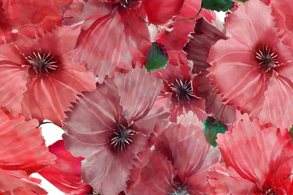 Vibrant Red Poppies by cartissi — canvas wall art