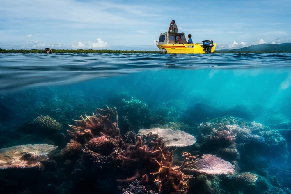 Above Below Coral Reef by Pavol Stranak — canvas wall art
