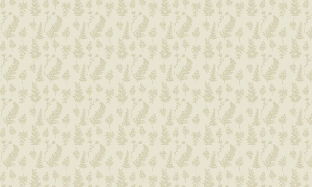 Delicate Fern Foliage by Gemma Bardot — canvas wall art