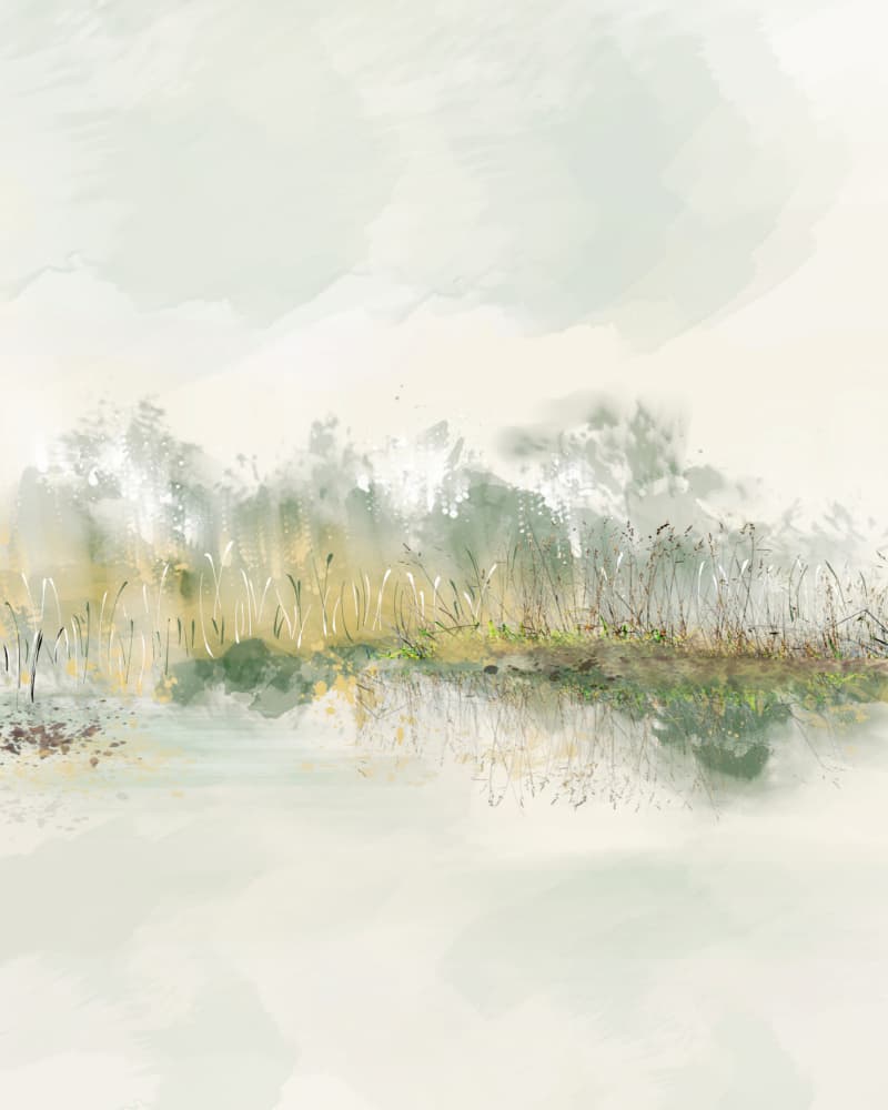 Misty Wetland Reeds by Sannel Larson — canvas wall art
