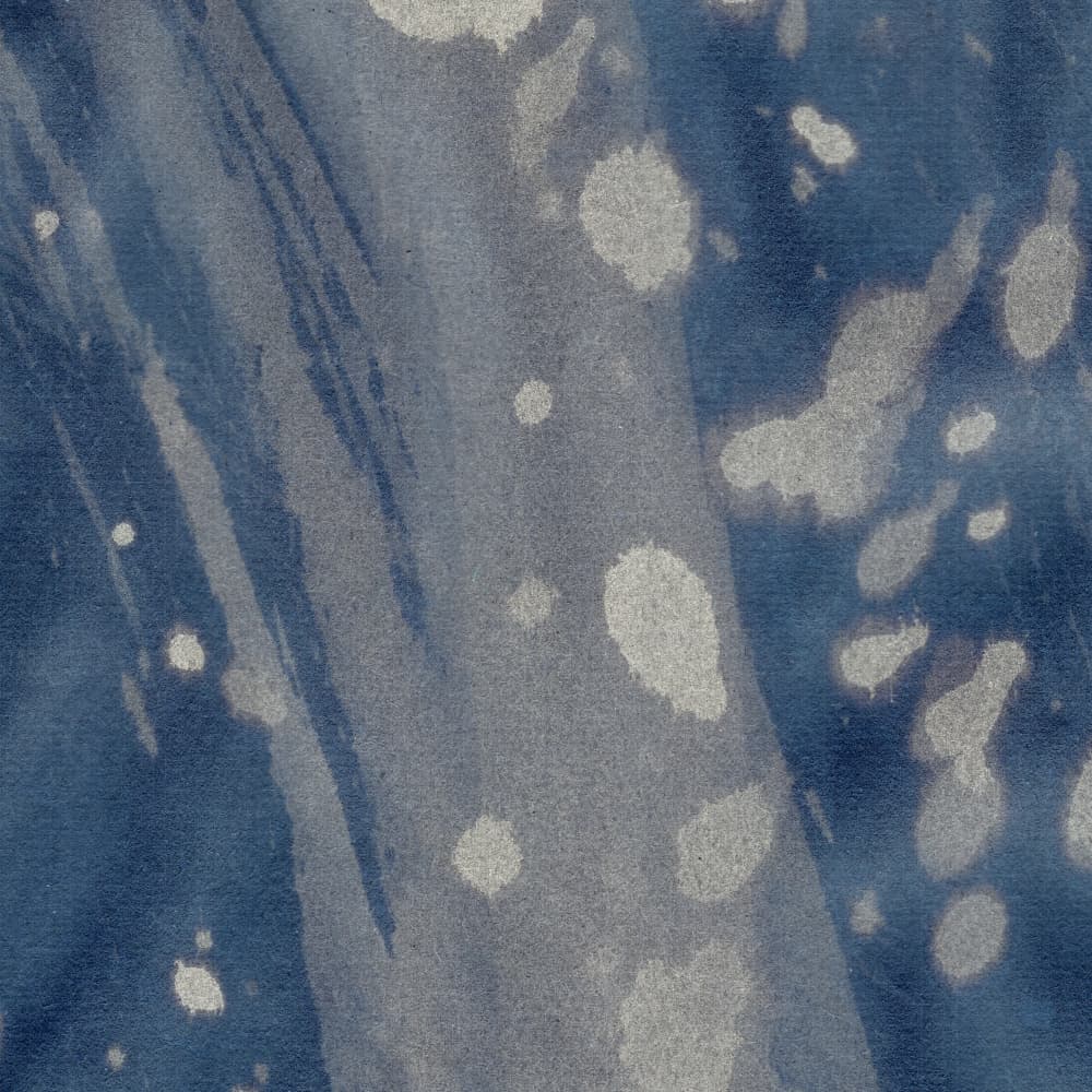 Indigo Blue Splashes by Dina Dankers — canvas wall art