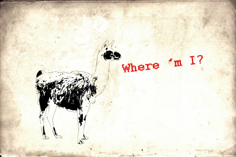 Funny Llama Question by Rafal Kulik — canvas wall art