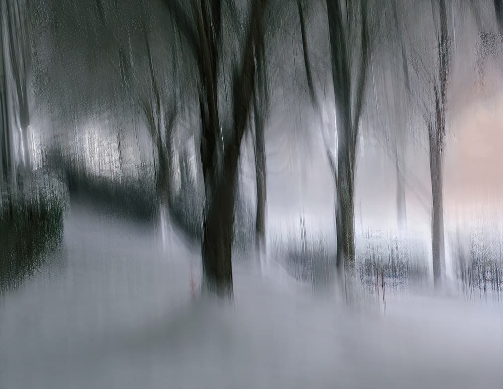 Dreamy Winter Forest by Tommy Armstrong — canvas wall art