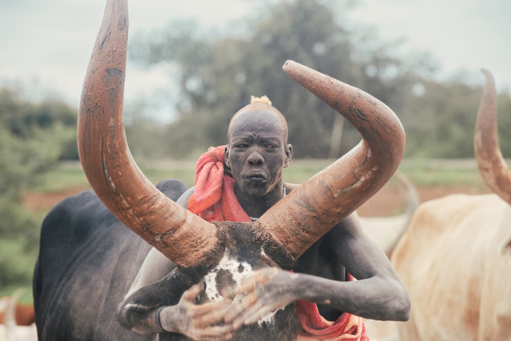 Dinka Herder and Cattle by Svetlin Yosifov — canvas wall art