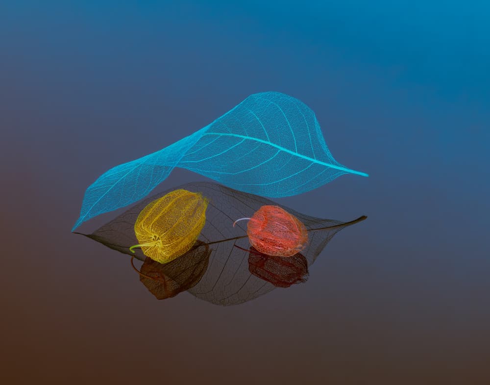 Delicate Leaves and Lanterns by Jasmine Suo — canvas wall art