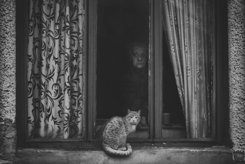 Quiet Window Watchers by Todor Tanev — canvas wall art