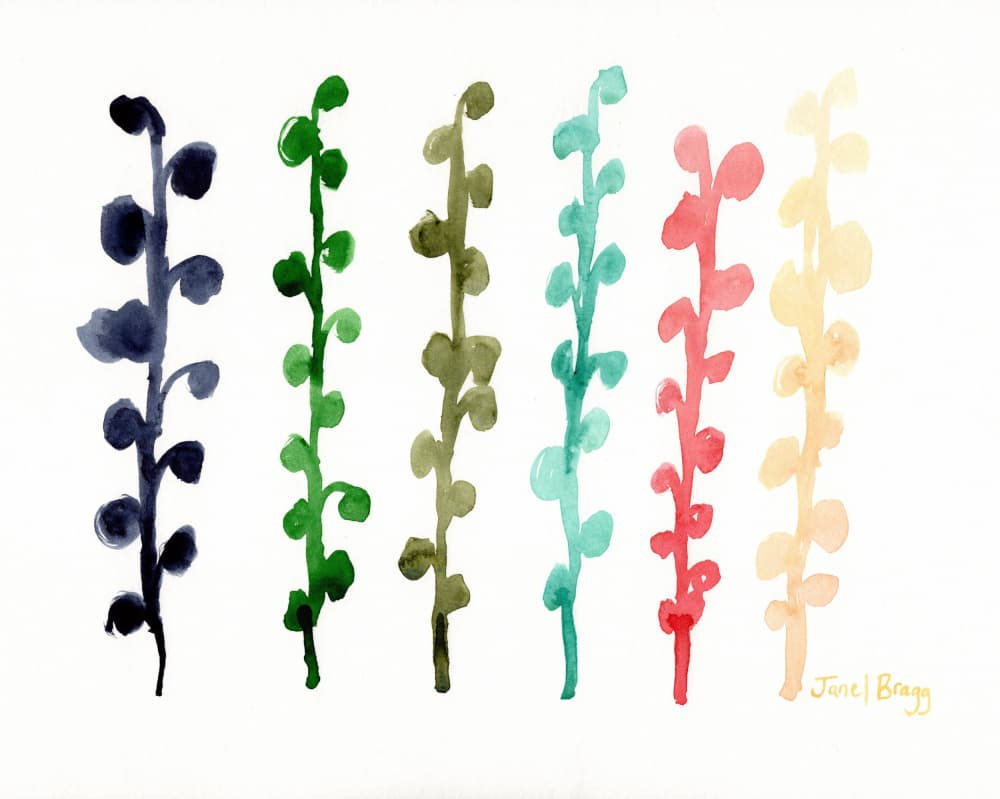 Colorful Botanical Stems by Janel Bragg — canvas wall art
