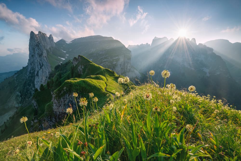 High Summer by Stefan Hefele — canvas wall art