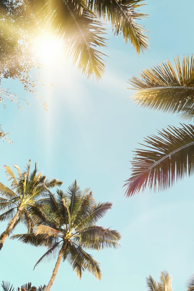 Sun Rays by Kathrin Pienaar — canvas wall art